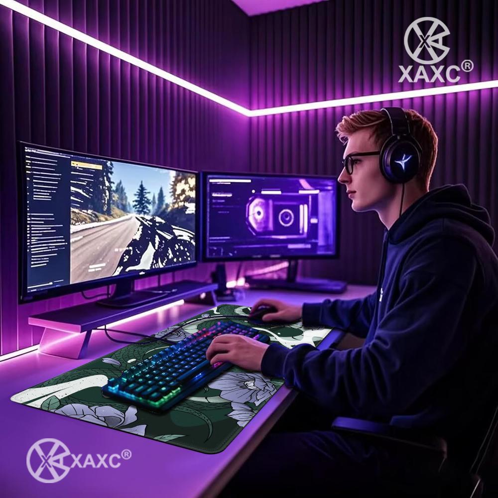 Viper Snake Setup XAXC Mouse P - Desk Setup With Laptop 评论和价格